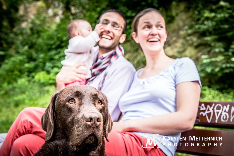 Der Hund im Mittelpunkt