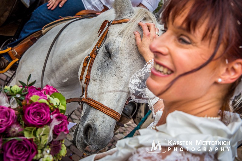Die heimlichen Hauptdarsteller