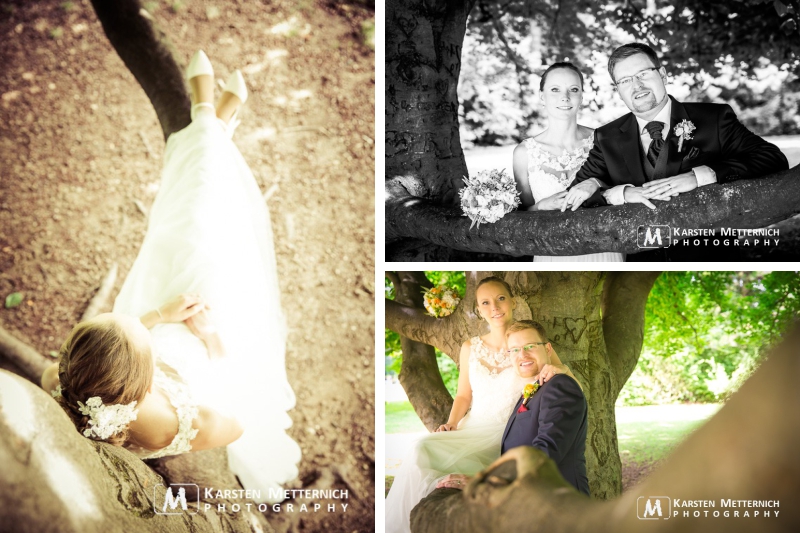 Der Baum hatte es uns schon beim Probeshooting angetan