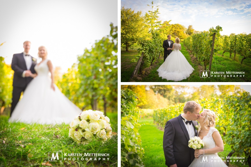 Natürlich auch Weinberge...