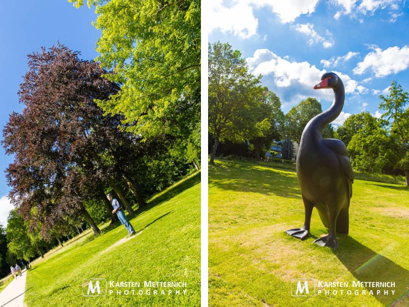 Italienischer Dauergast im Kurpark Bad Homburg