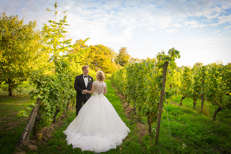 Weinberge & Weingüter